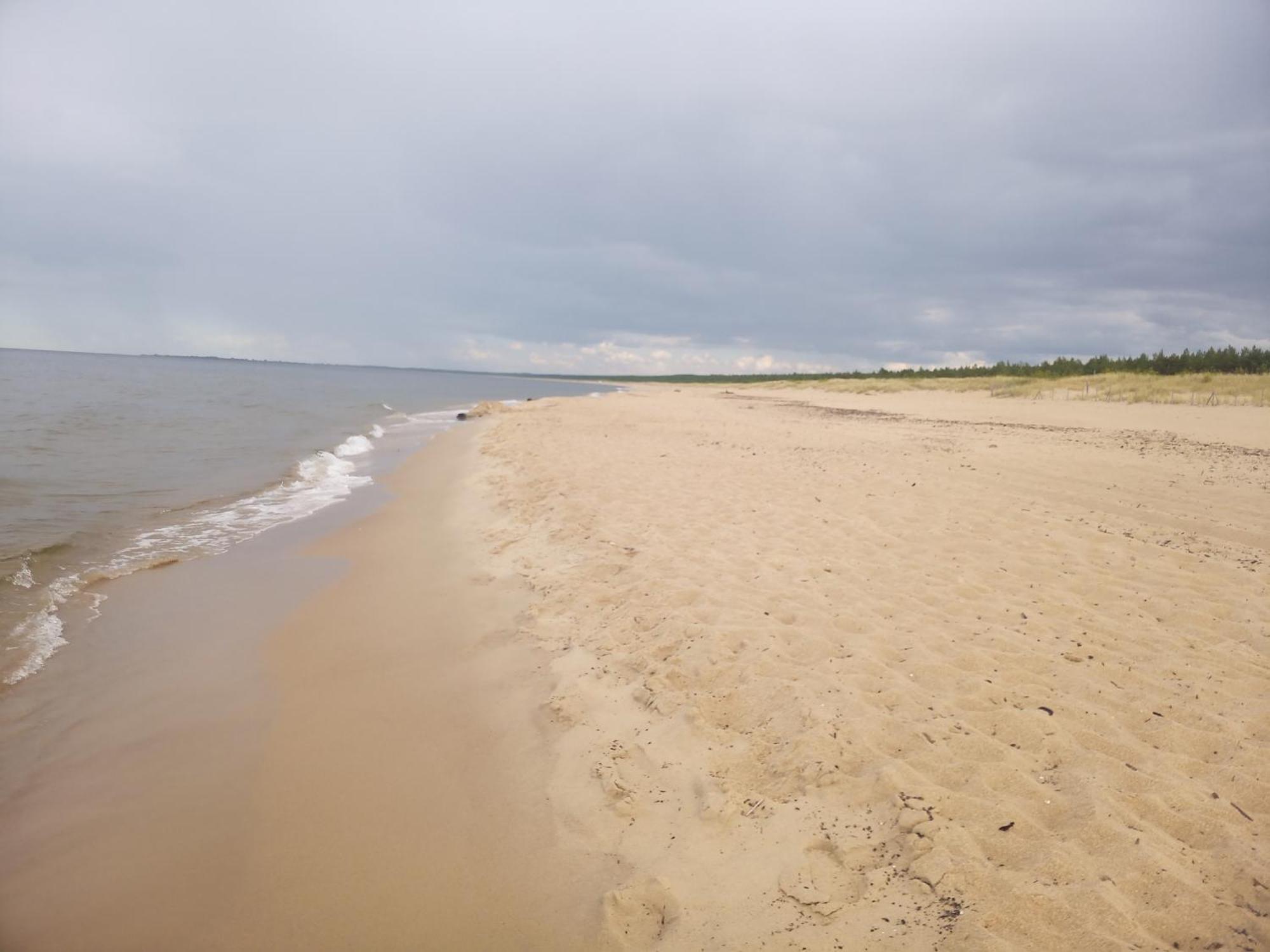 Pokoje Sobie Na Wyspie Gdańsk Exterior foto